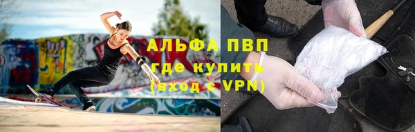 ешки Алзамай