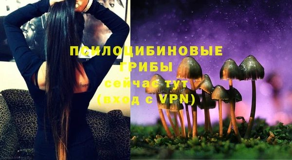 ешки Алзамай