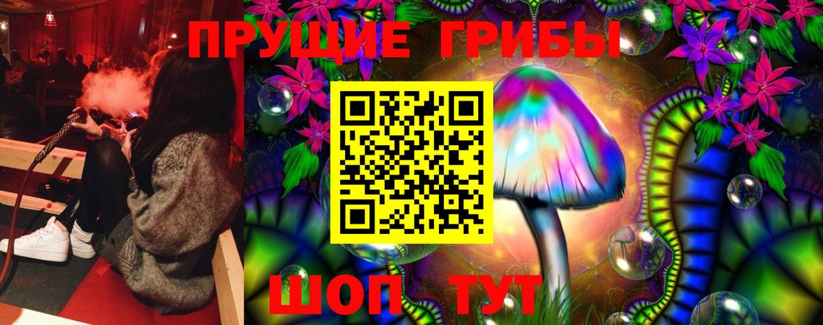 Галлюциногенные грибы Psilocybe Сосновоборск