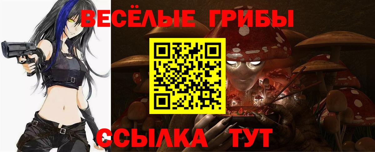 Псилоцибиновые грибы мухоморы  Псилоцибиновые грибы мицелий  Сосновоборск  Вход с VPN 